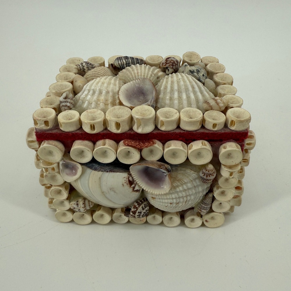 Vintage Seashell Trinket Box Shark Vertebrae Bone Rings Red Velvet Lined 3.5"